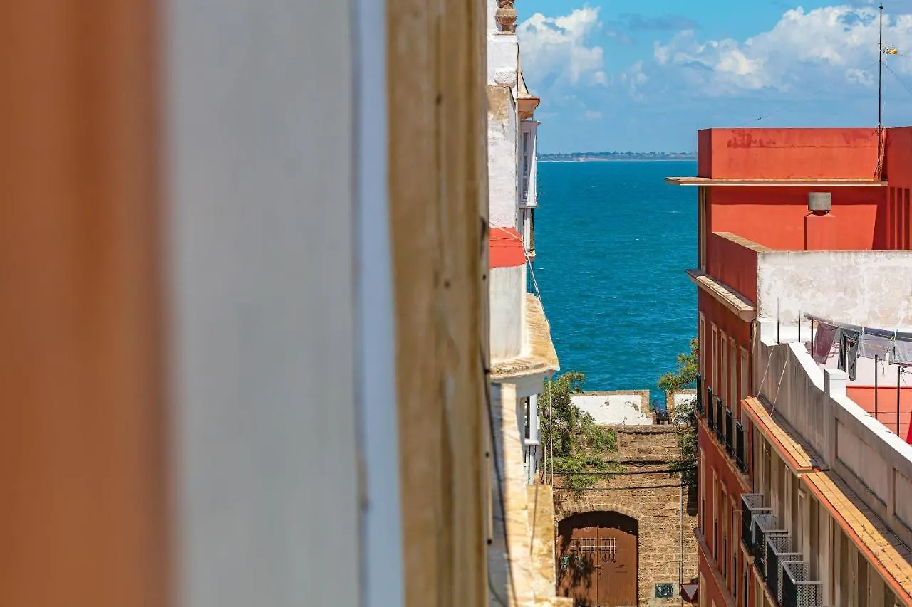 Apartamento New Use Pz España 3 izquierda Cádiz